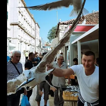 Old Town Hesed Lägenhet *