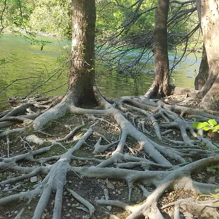 Lägenhet Old Town Hesed *