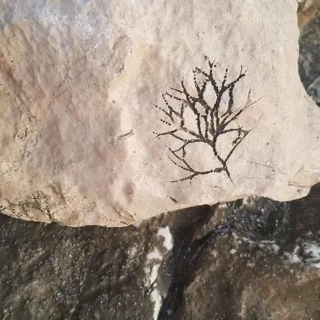 Old Town Hesed Lägenhet *