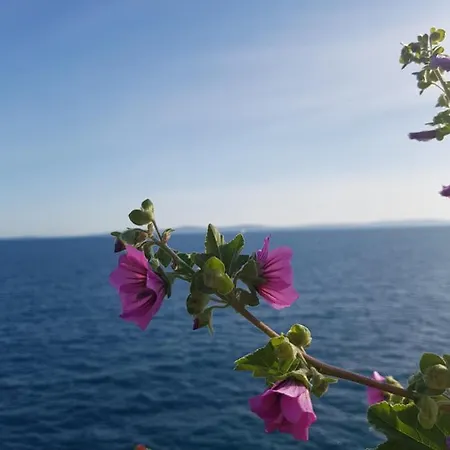 Old Town Hesed 斯普利特