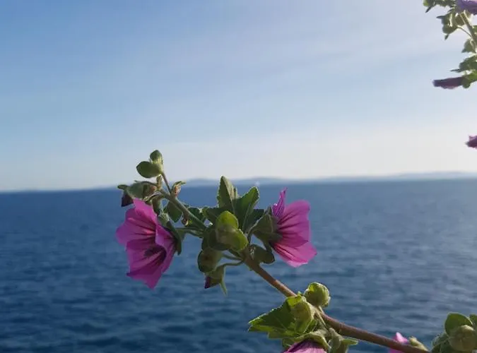 Old Town Hesed Split