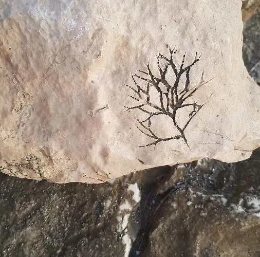 Old Town Hesed Apartment *