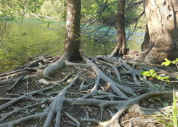 דירה Old Town Hesed *